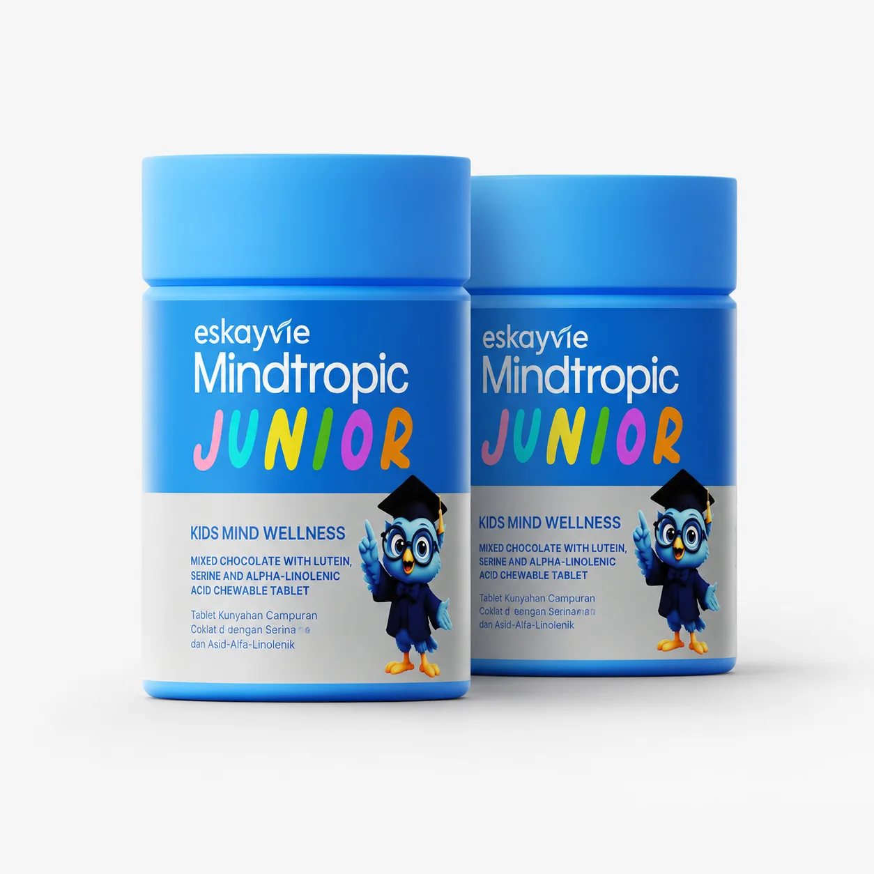 Pakej Basic Mindtropic Junior